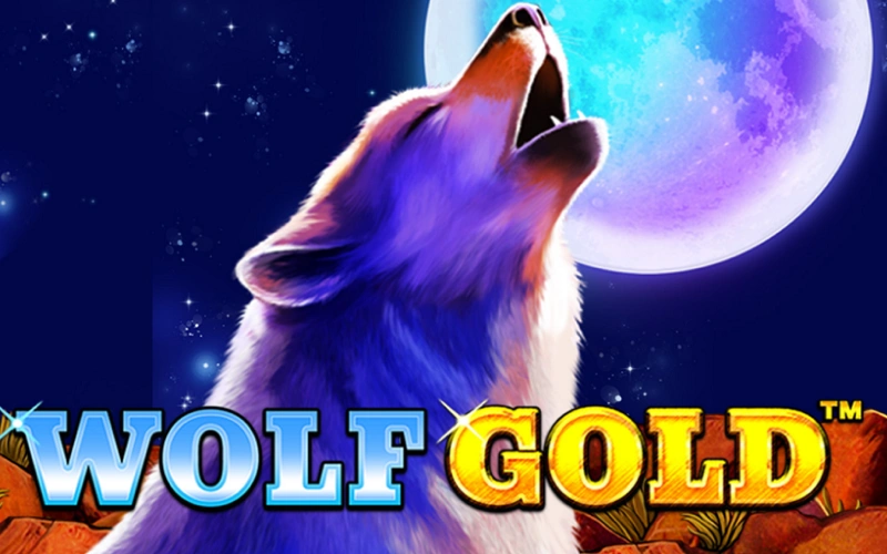 Spiele und gewinne im beliebten Wolf Gold-Spielautomaten bei Felicebet.